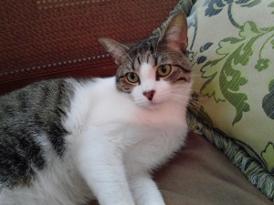 Heisenberg lounging as usual!